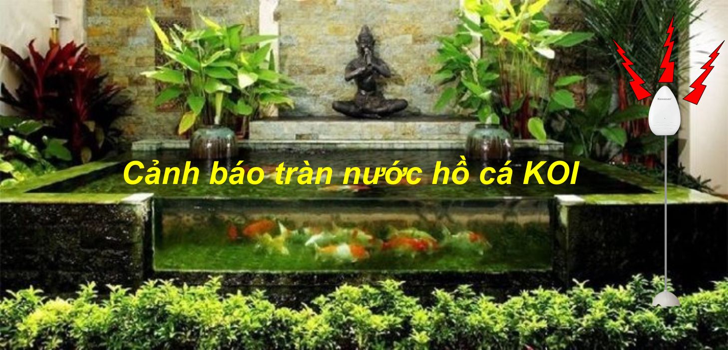 Báo tràn cho các bể cá tiết kiệm cho phí điện nước