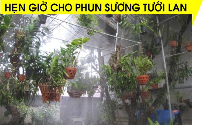 Hẹn giờ cho hệ thống tưới cây cảnh