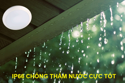 Chỉ số IP66 chống thấm nước vượt trội