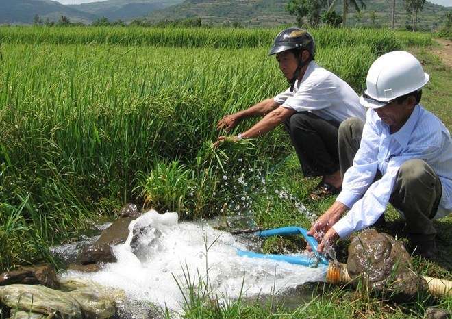 Báo cúp điện cho hệ thống tưới tiêu đồng ruộng
