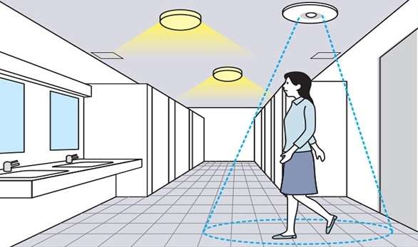 Cơ chế hoạt động của mắt cảm ứng hồng ngoaị