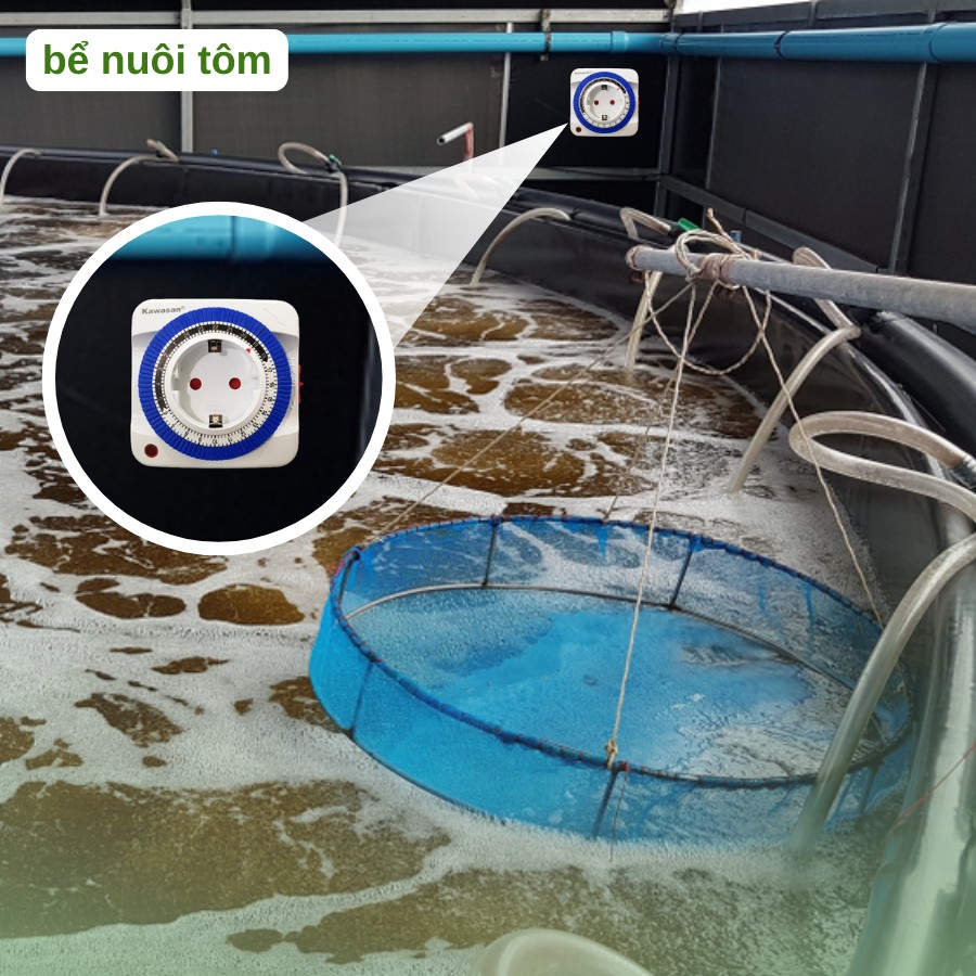 Hẹn quạt oxy chạy đêm cho bể nuôi tôm