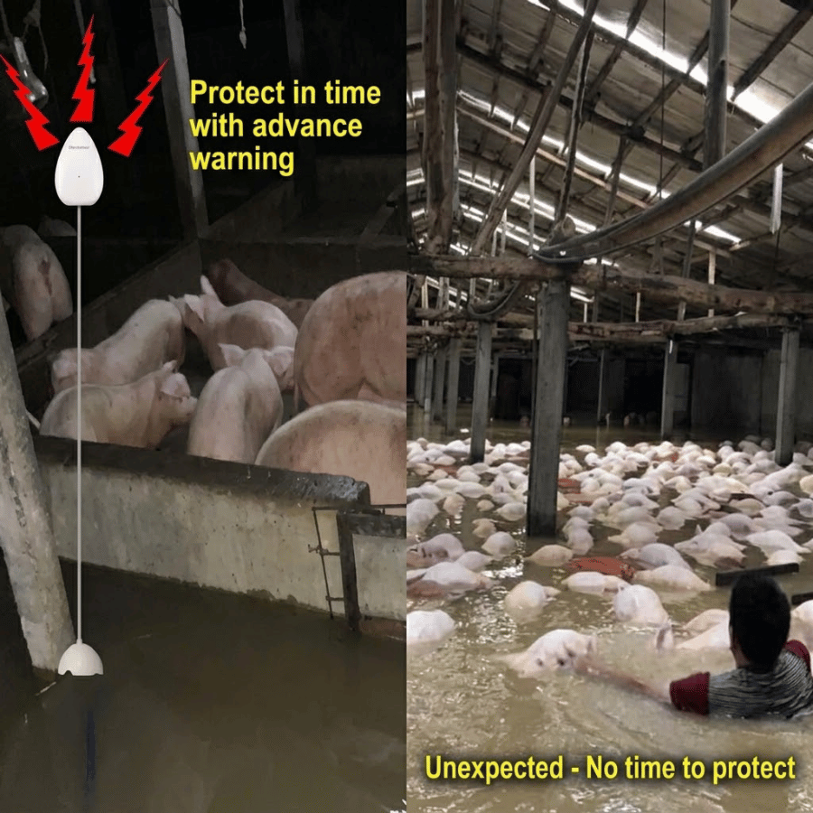 Báo động ngập nước tại các bể chưa nước thải để kịp thời bảo vệ tài sản